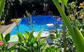 Apartman Murko P-4